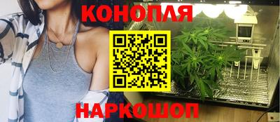 хмурый Новокубанск